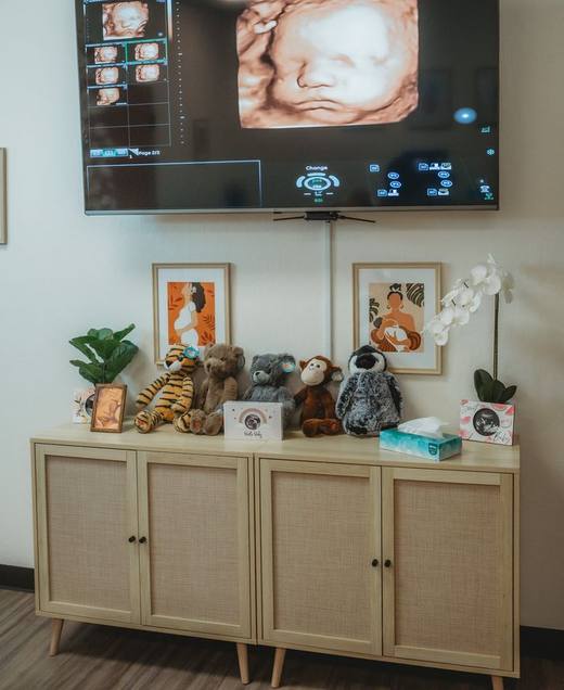 Shelf of heartbeat plushies and framed keepsake prints beneath the studio screen.